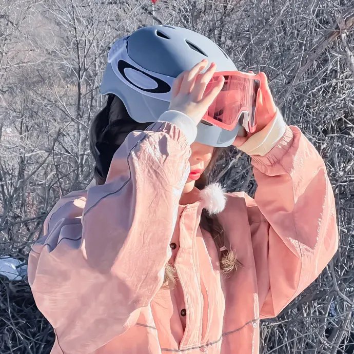 毒帮家族
